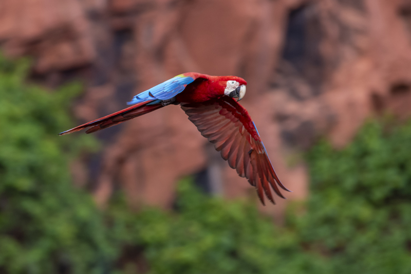 Bonito - Photo by Hudson Garcia (26)